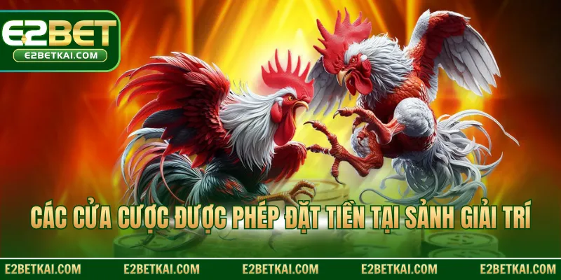 Các cửa cược được phép đặt tiền tại sảnh giải trí